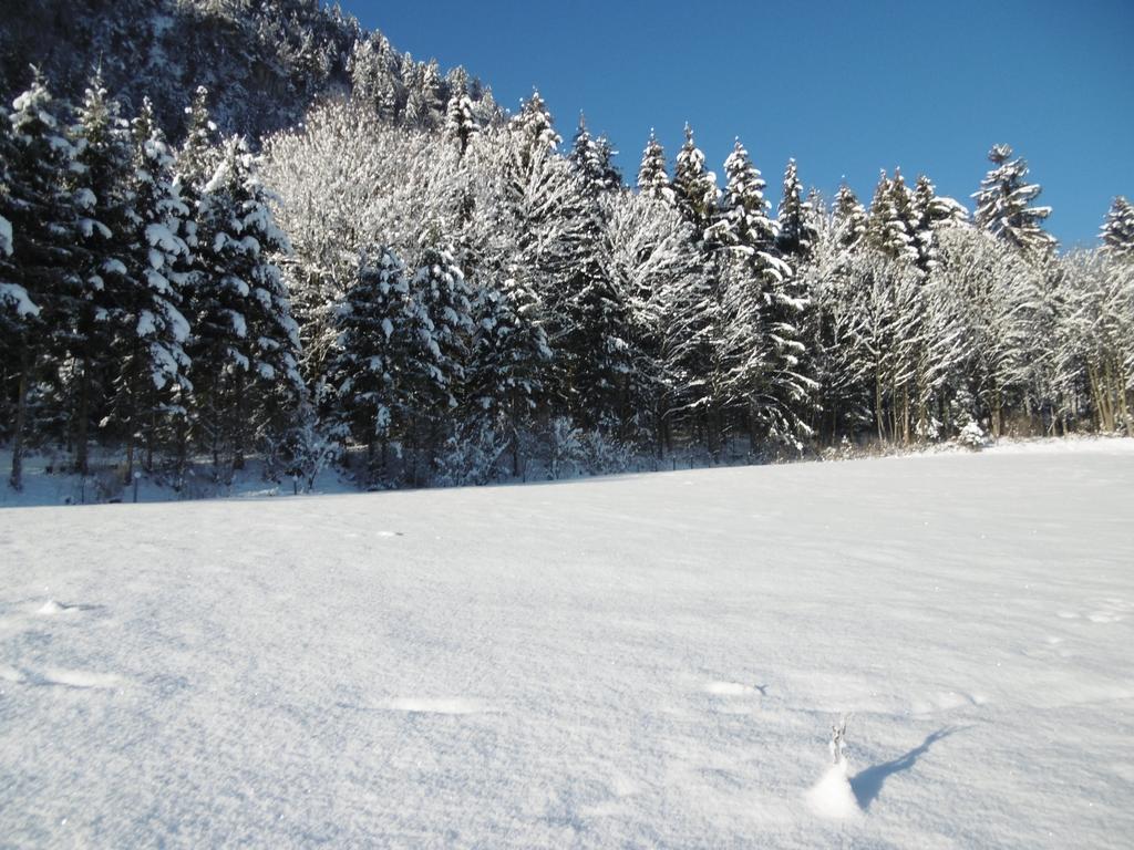 Ferienwohnung Zillertal Bacher Schlitters Exterior foto